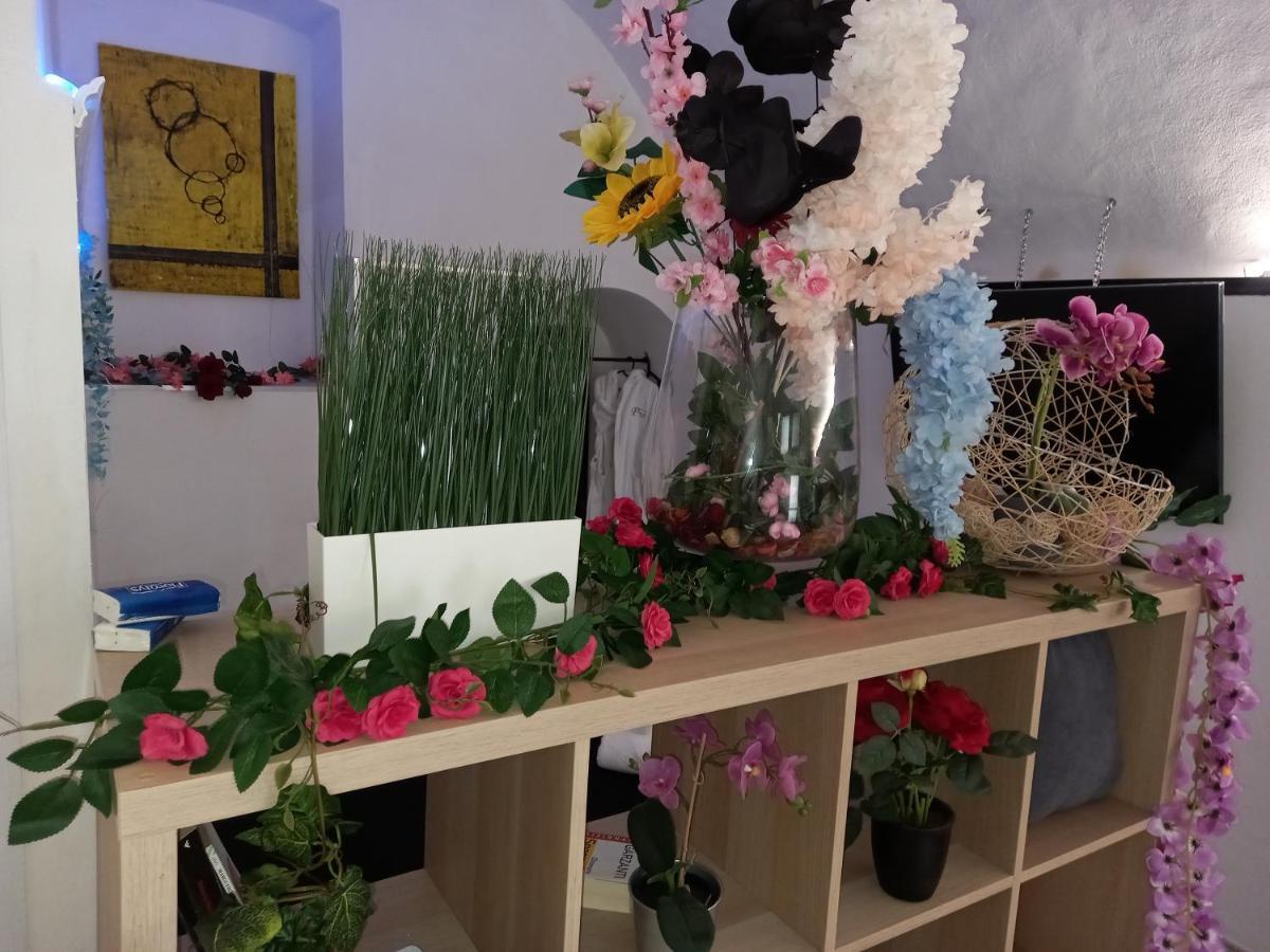 Apartment Perlage